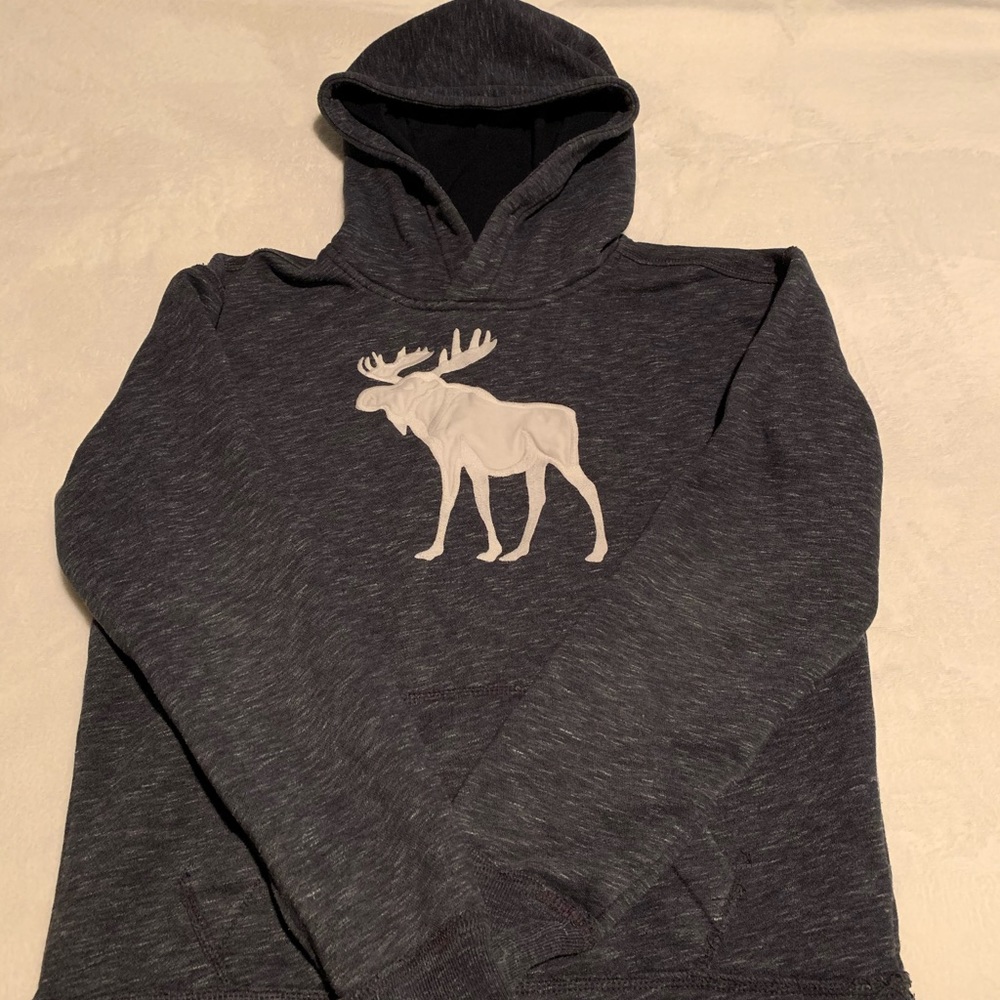Abercrombie and Fitch Hoodie